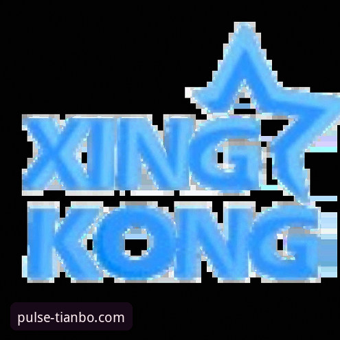 天博体育综合平台详解：新手快速上手指南